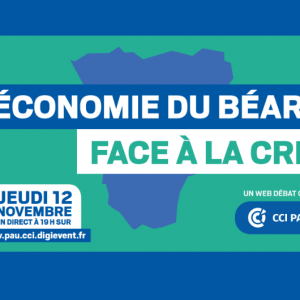 Web débat CCI Pau Béarn jeudi 12 novembre 2020